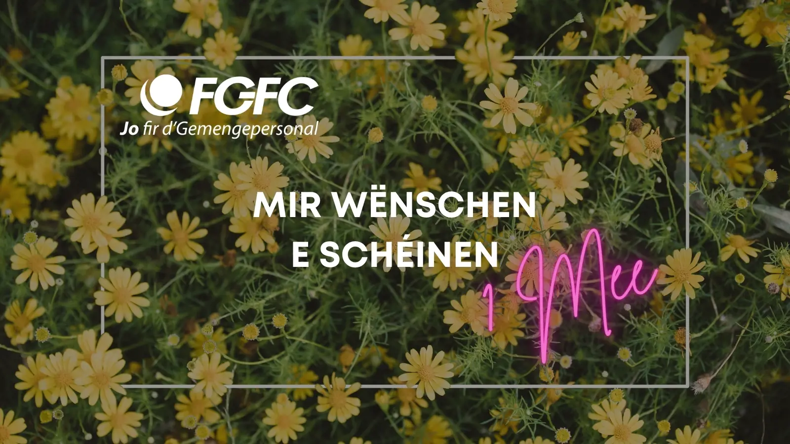 Fgfc Publications | FGFC - Fédération Générale de la Fonction Communale